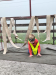 MVIMG_20261016_094927